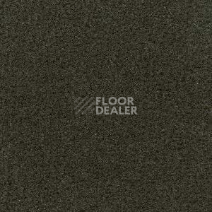 Ковролин Radici Admiral Fango 1302 фото 1 | FLOORDEALER